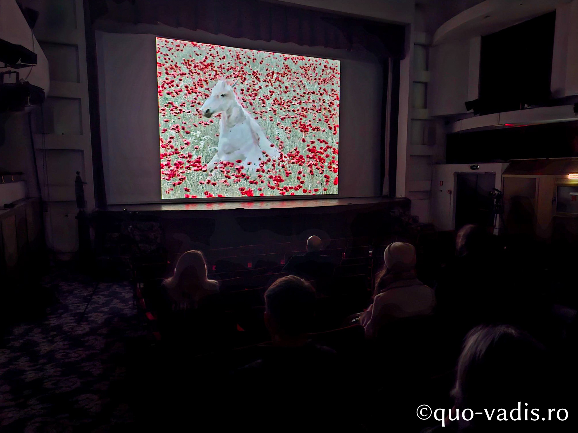 Proiecția filmului artistic Copacul dorințelor (Georgia, regizor Tengiz Abuladze), Sala Ateneul Național din Iași