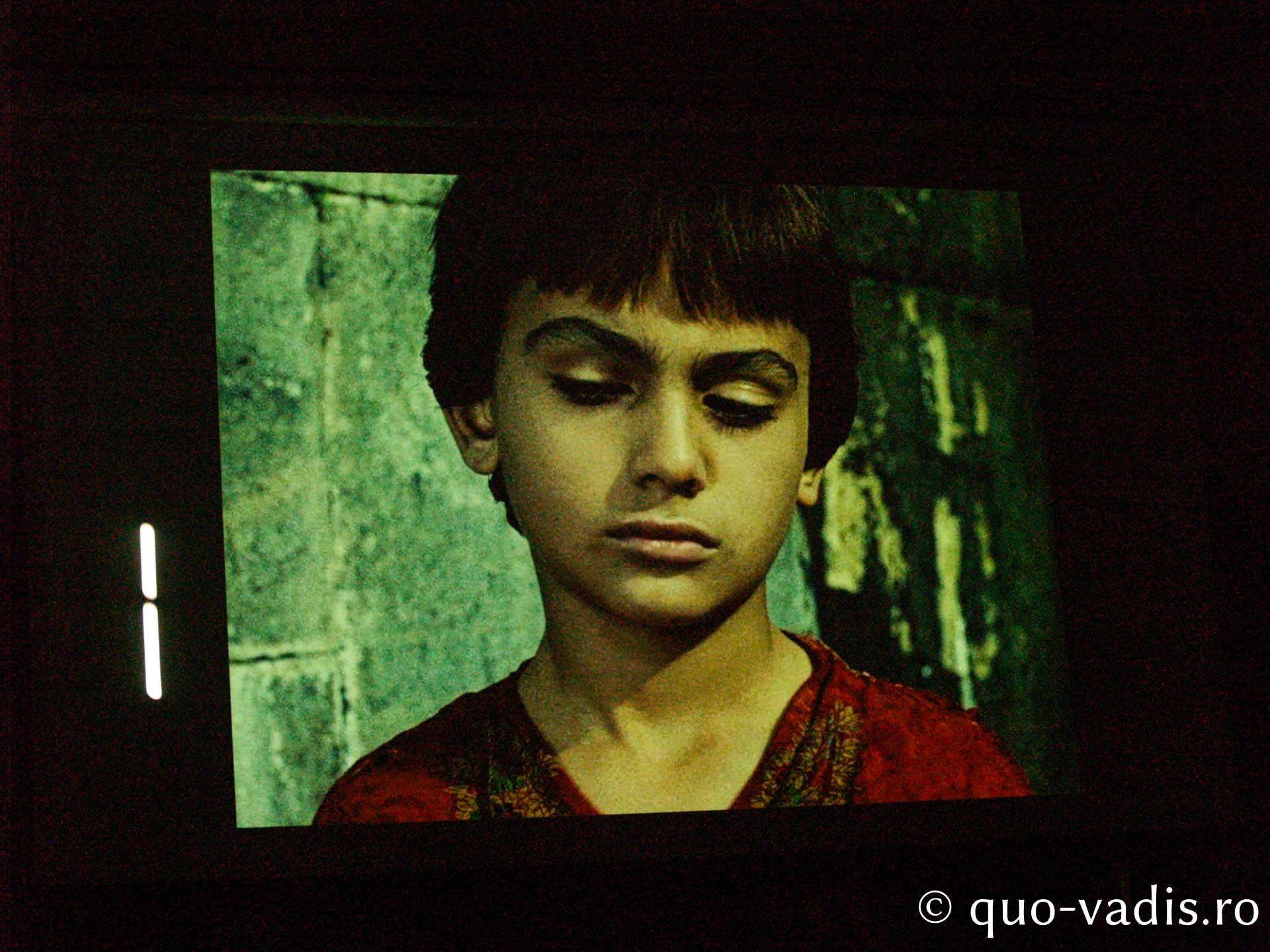 Proiecția filmului artistic Culoarea rodiei