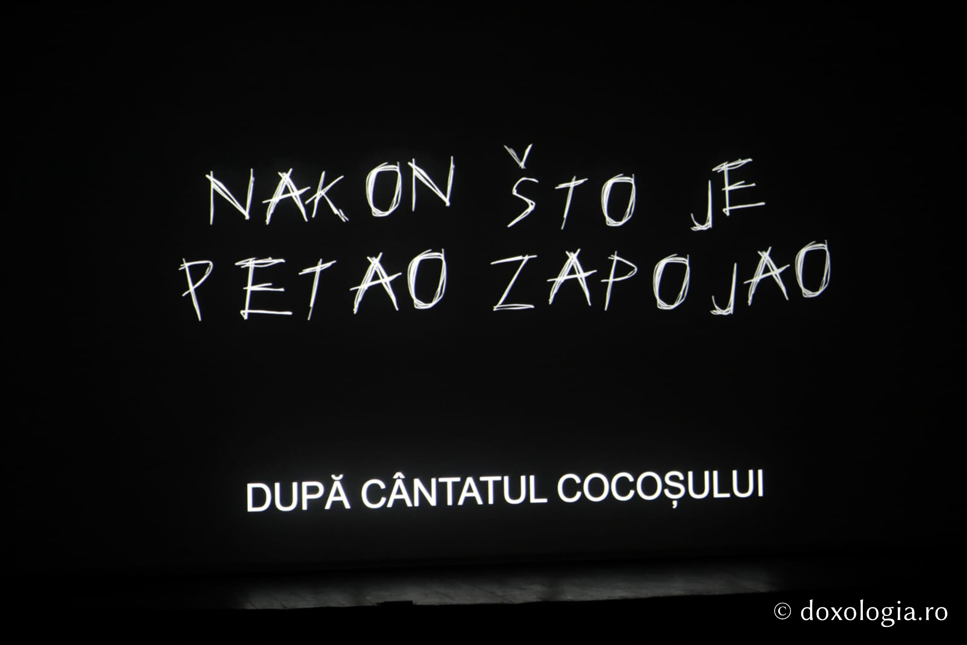 #QuoVadis2024: Cum a decurs prima zi din cadrul Festivalului Internațional de Film de la Iași