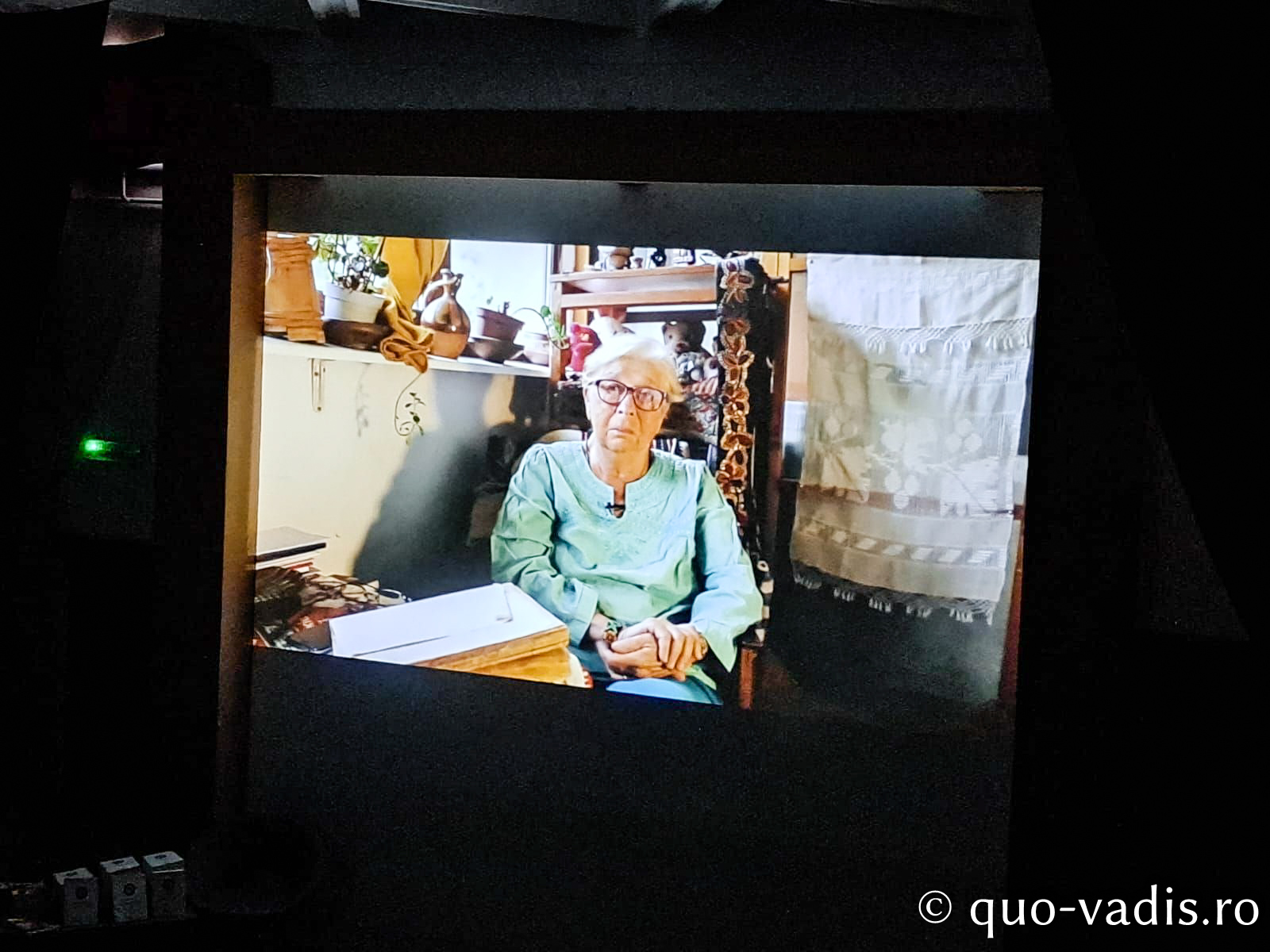 Proiecția filmului documentar Lemnul viu (România), în prezența regizoarei Cristina Chirvasie