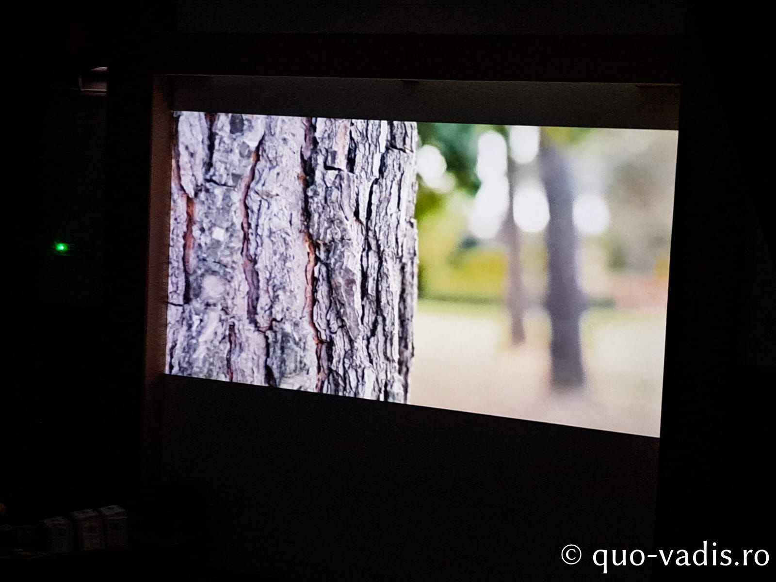 Proiecția filmului documentar Lemnul viu (România), în prezența regizoarei Cristina Chirvasie