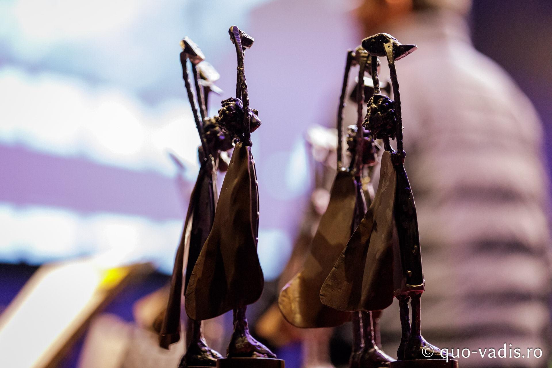 Ceremonia de decernare a premiilor / Foto: Oana Nechifor