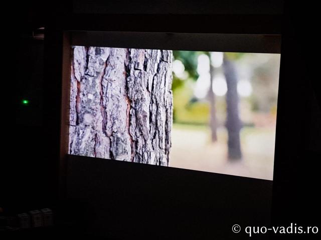 Proiecția filmului documentar Lemnul viu (România), în prezența regizoarei Cristina Chirvasie