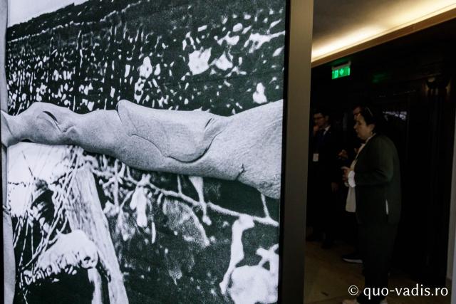 Vernisajul Expoziției de fotografii „Reîncadrând spațiul. Filmul ca istorie.” / Foto: Oana Nechifor