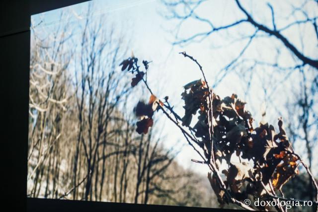Proiecția filmului artistic Slujba (Serbia) / Foto: Oana Nechifor