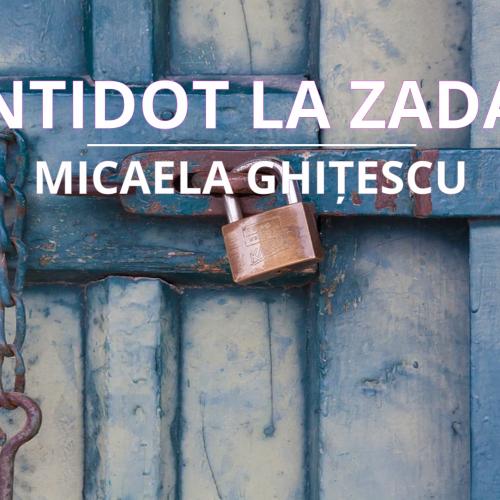 Antidot la zadar