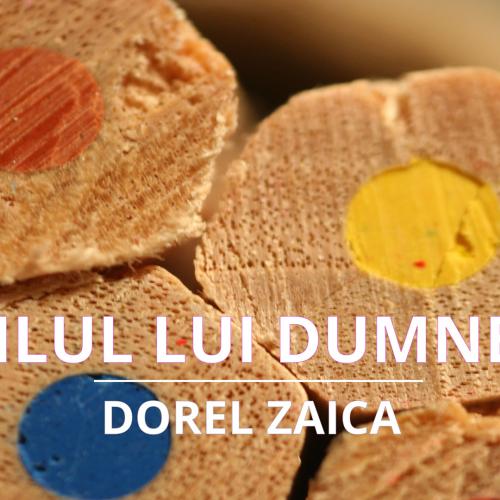 Dorel Zaica este pictor, grafician și scriitor. A fost profesor și director al Liceului “Nicolae Tonitza” din București.  Membru al Uniunii Artiștilor Plastici din România, secția pictură de șevalet, Dorel Zaica a participat, începând cu anul 1968, la numeroare expoziții, saloane de picture anuale și bienale din toată lumea.   Considerat primul profesor de creativitate din România, el a descoperit în anii ’70 o metodă pedagogică de stimulare a imaginației copiilor. A publicat câteva cărți cu rezultatele mun